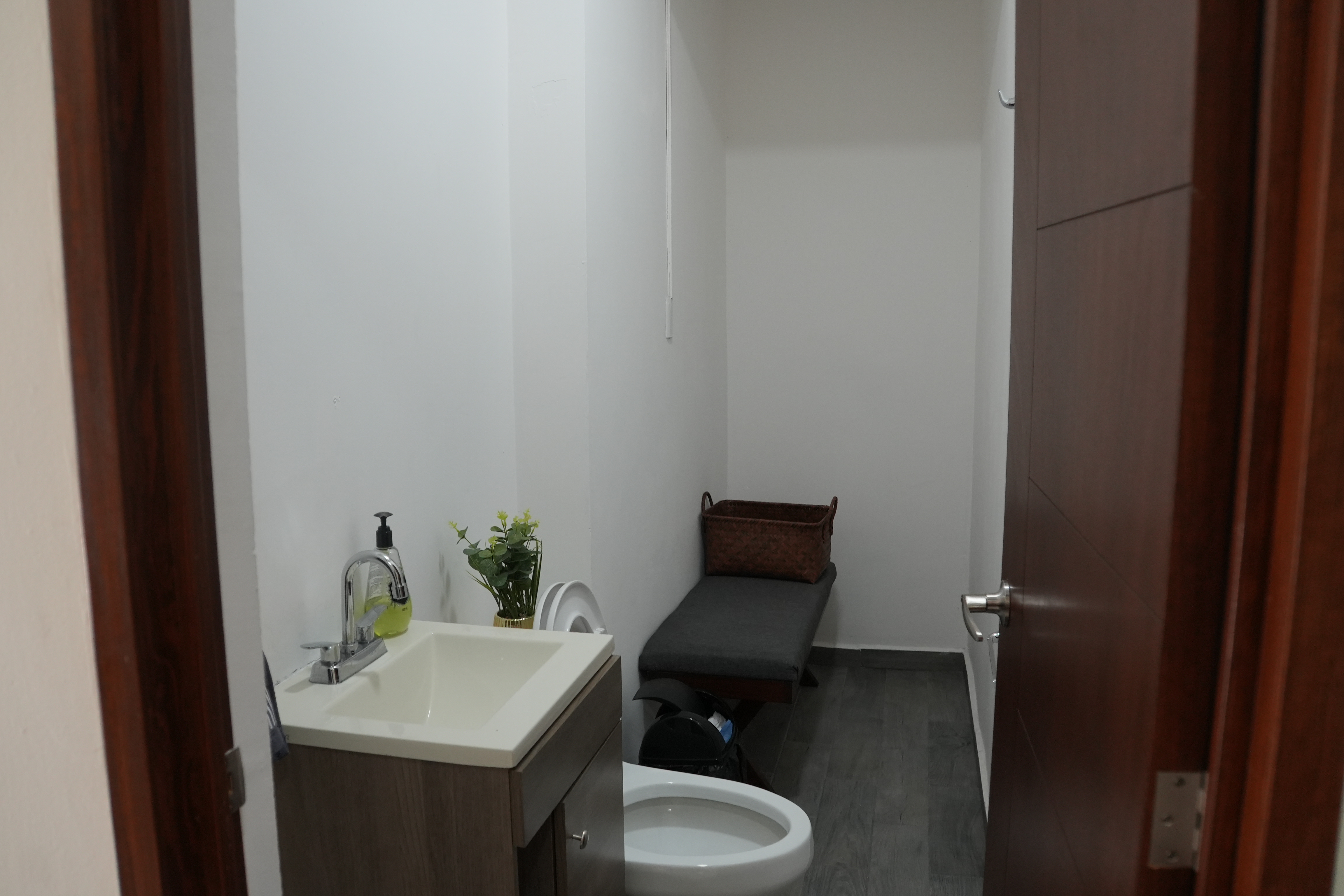 Vestidor de LeónScanner